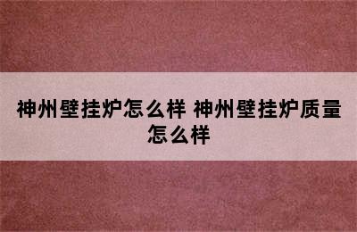 神州壁挂炉怎么样 神州壁挂炉质量怎么样